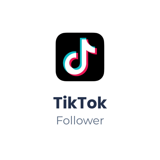 TikTok Follower kaufen